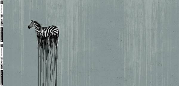 Bilde av Bomullsjersey - Panel - 62x160 cm zebra på dusgrønn