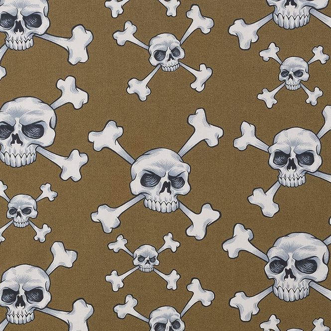 Hovedbilde Skull and Bones - 7-12 cm hodeskaller på khaki