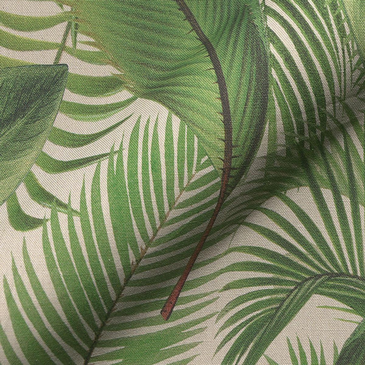 Linlook - palmblader