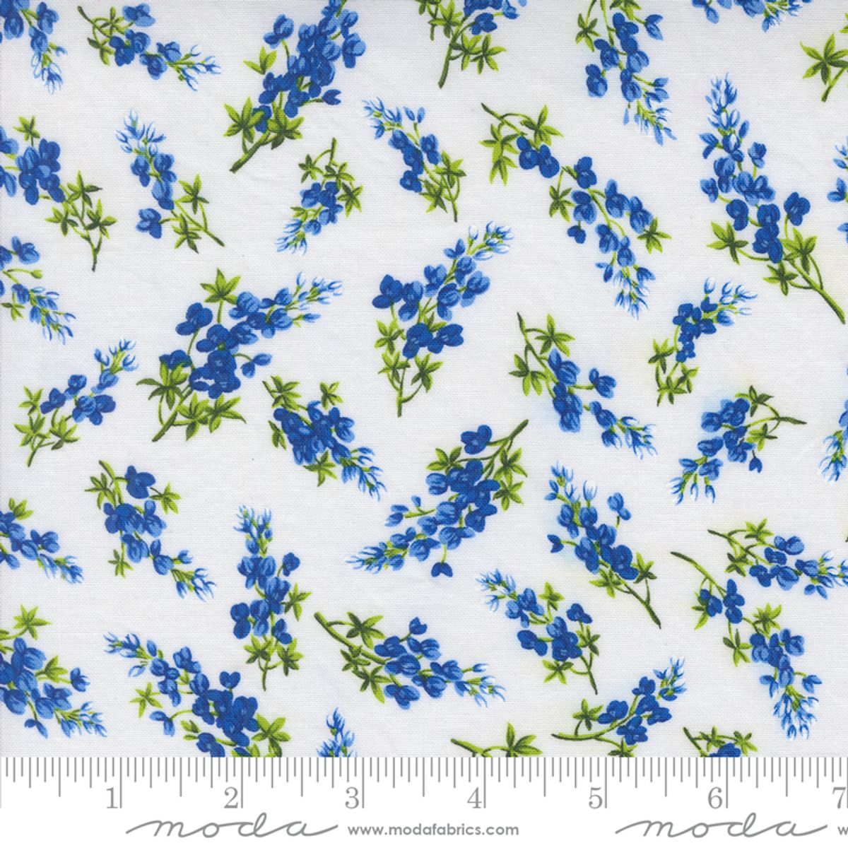 Wildflowers - blomst på hvit
